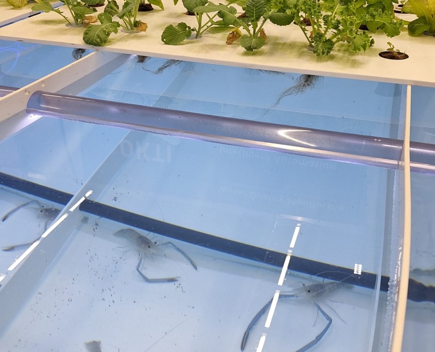 FTT-Rieder-Messe-2025 (7)