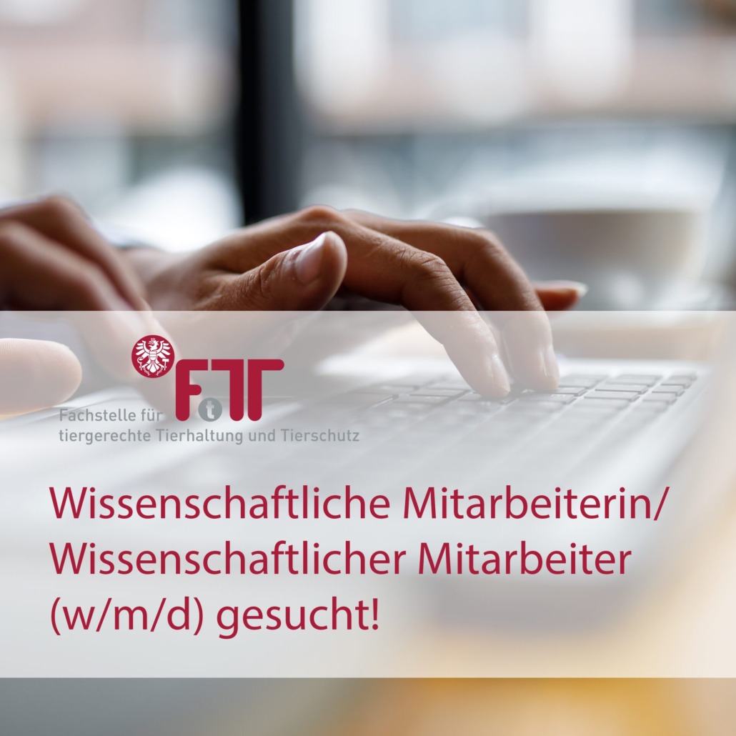Vorlage Vorschaubild web_QZK Wiss.MA Wissenschaftliche Mitarbeiterin oder wissenschaftlicher Mitarbeiter gesucht!